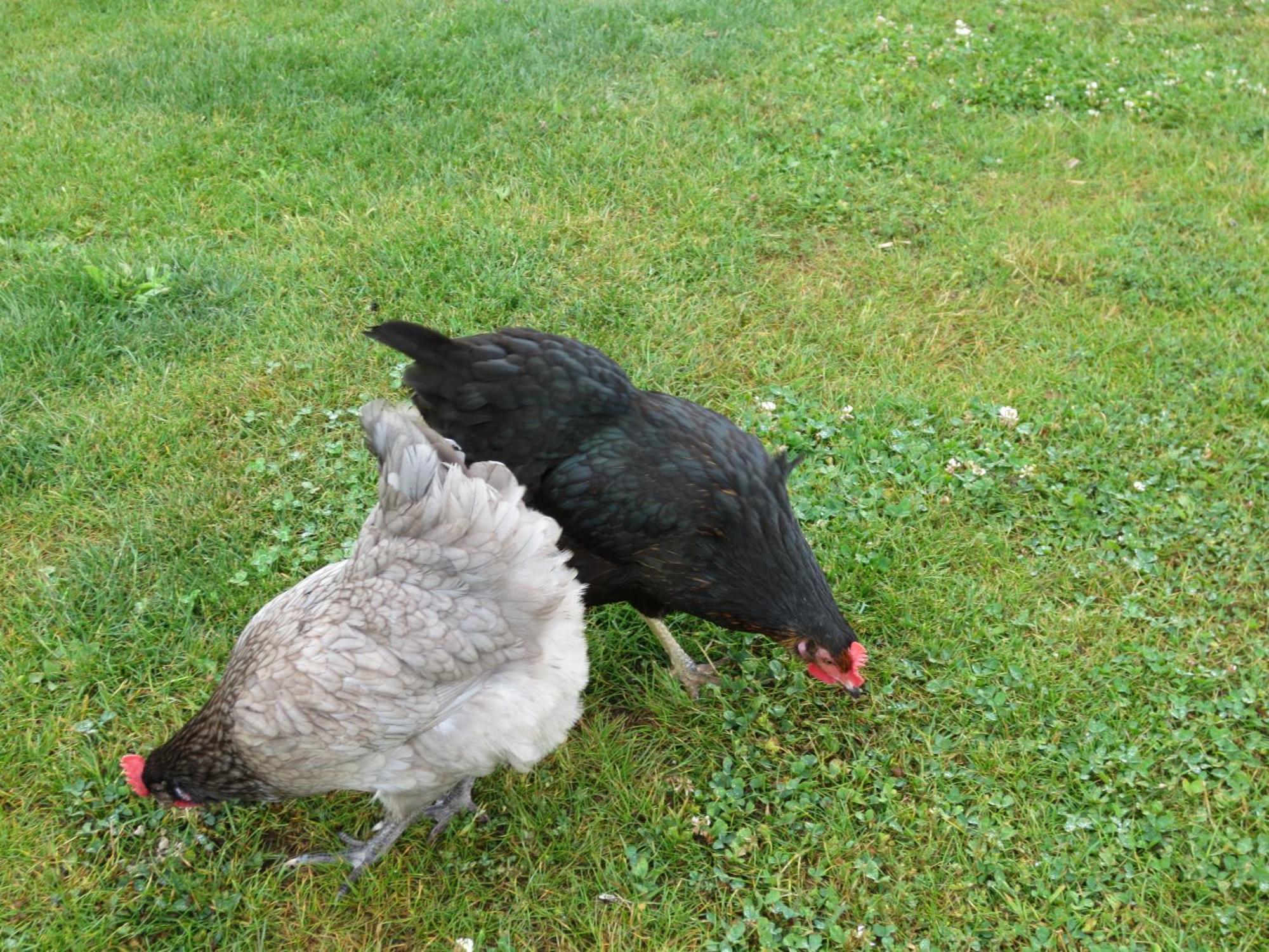 Gite Paimpol Le Poullou Luaran gambar
